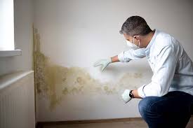 Best Mold Damage Restoration  in Chestertown, MD